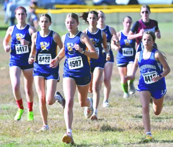 Almost an even WIN split: Miners take cross country team titles; Hematites, Patriots individual crowns